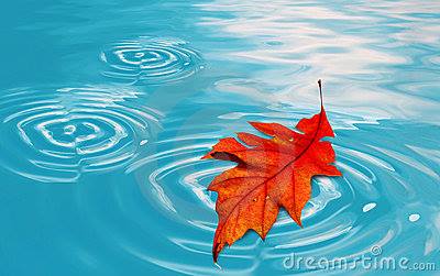 Quest Continues (Questionsku)