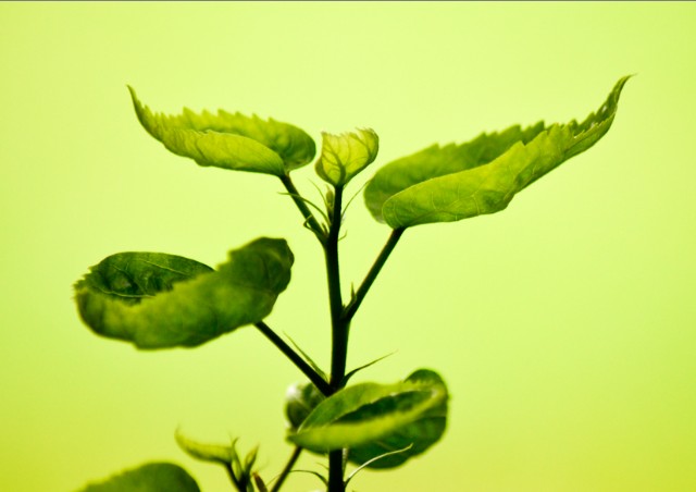 Ode To A Repentant Heart