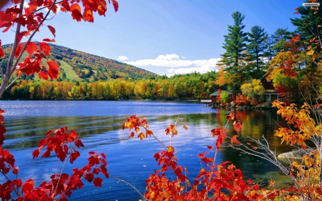 Patriots, Racists, Nationalists