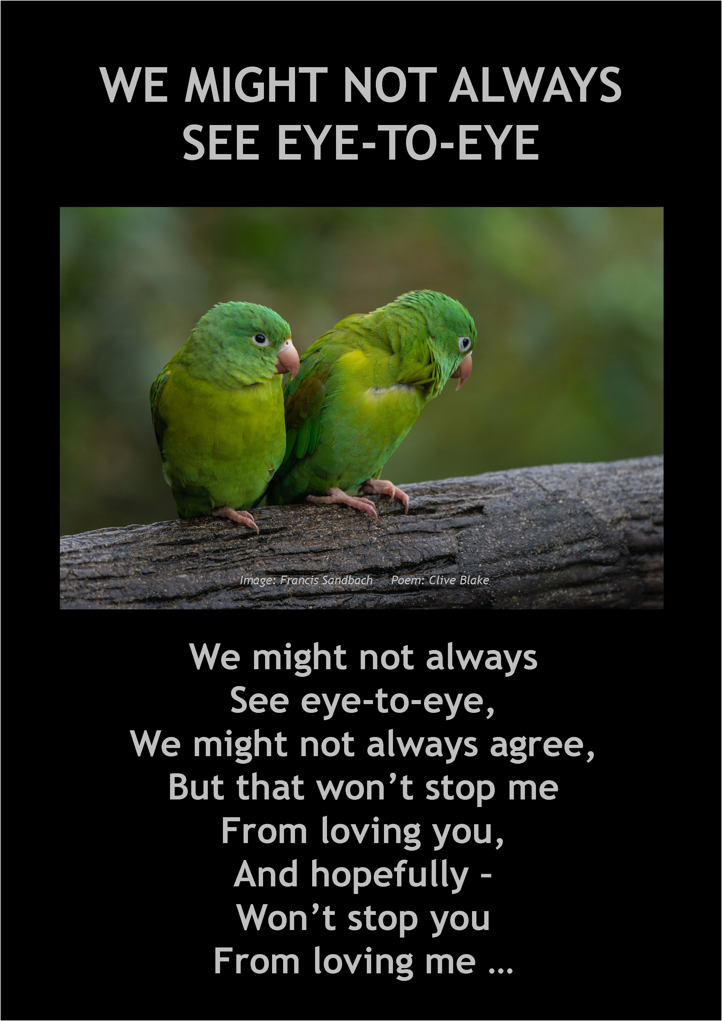 We Might Not Always See Eye-To-Eye