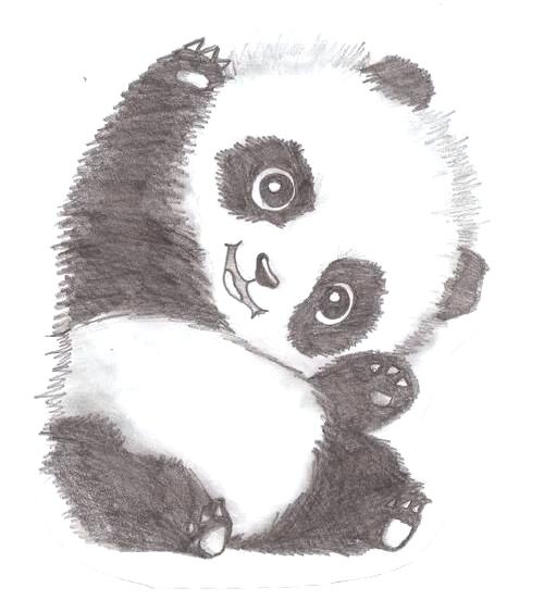 Panda (Senryu)
