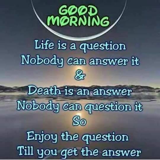 Life Has An Answer