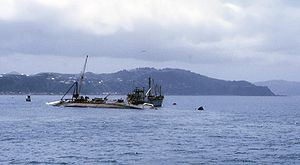 The Sinking Of The ' Wahine'.