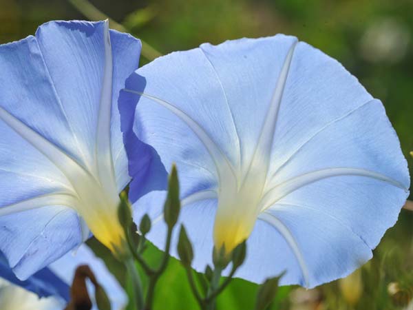 I Still Love Your Words