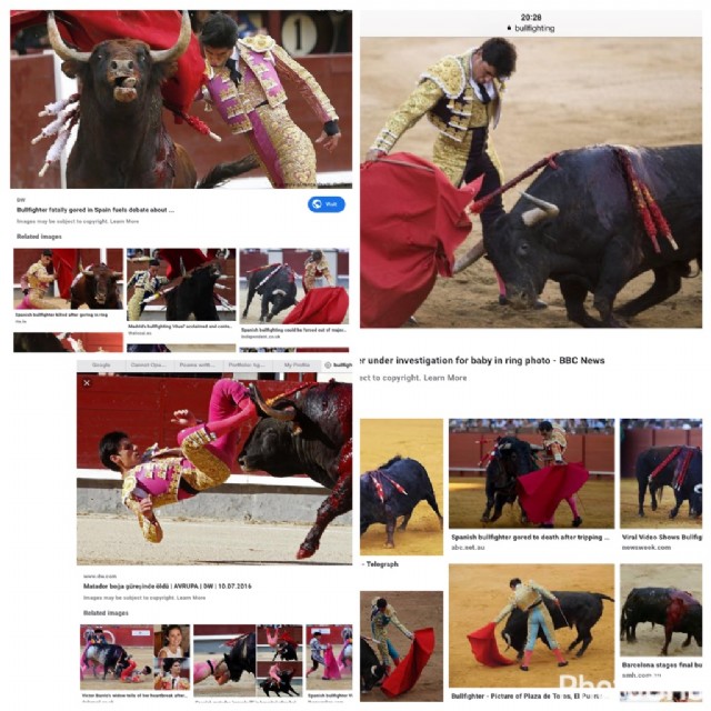 Bullfighters: The Bull Bullies