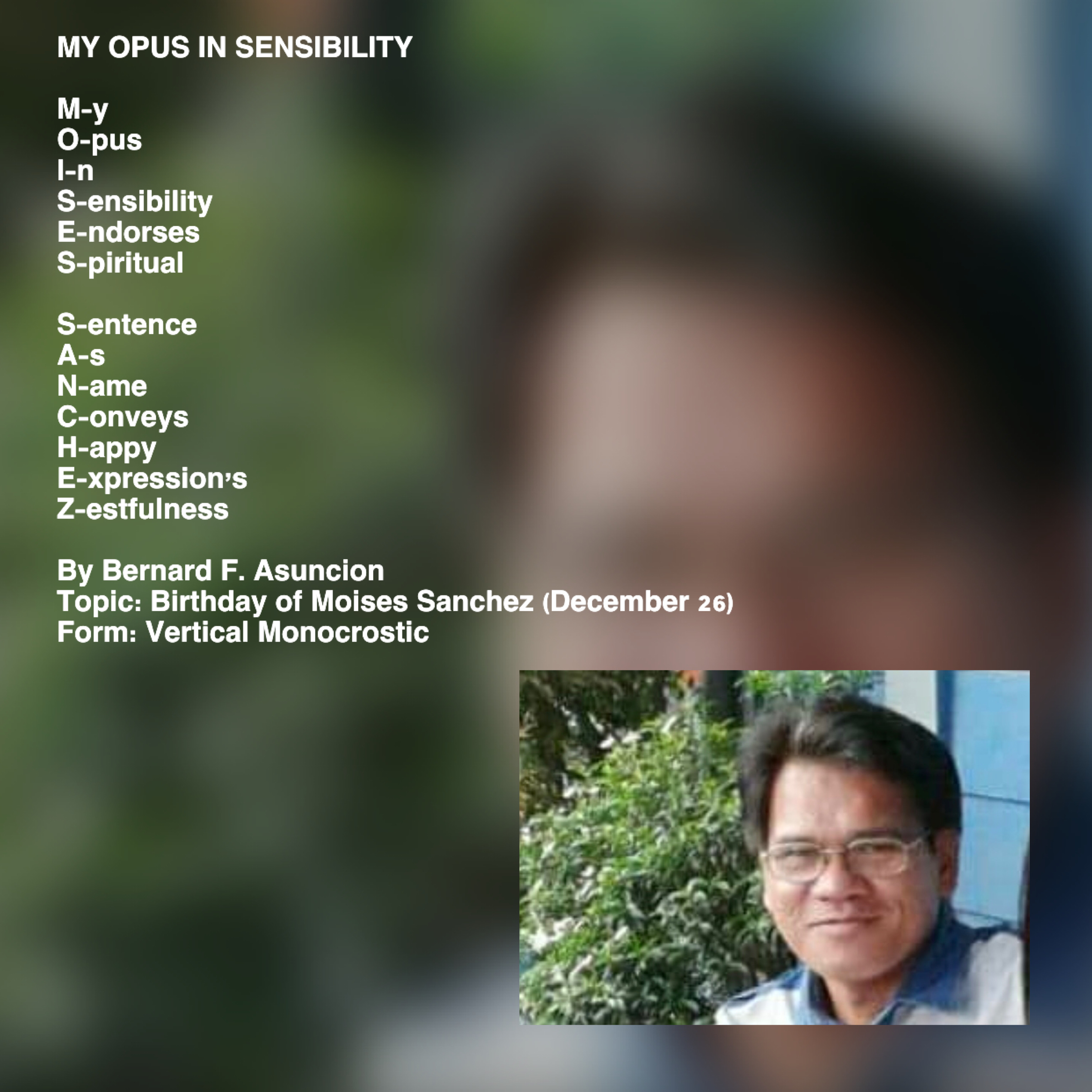 My Opus In Sensibility