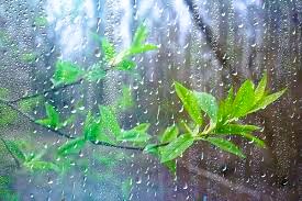 Dance 16 - Dance Like The Rhythmic Rain