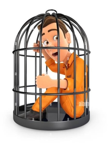 Echoes In The Cage.