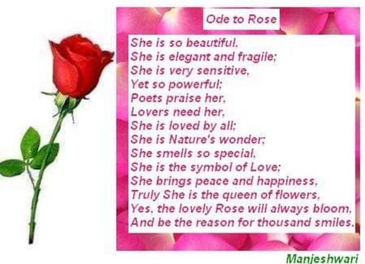 Ode To Rose
