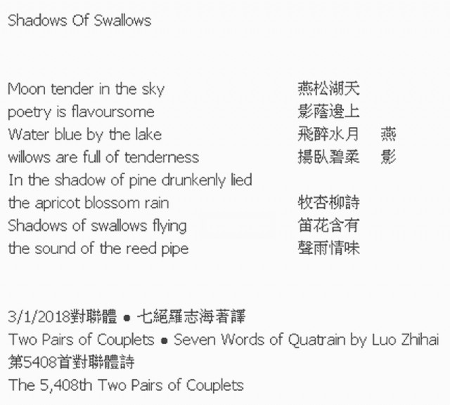 Shadows Of Swallows