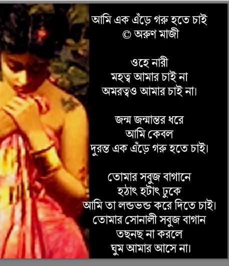 আমি এক এঁড়ে গরু হতে চাই