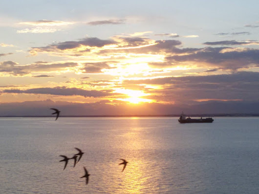 Θεσσαλονικη! Ιωαννησ Πολεμησ