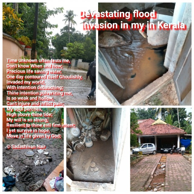 Devastating Intention Of Flood