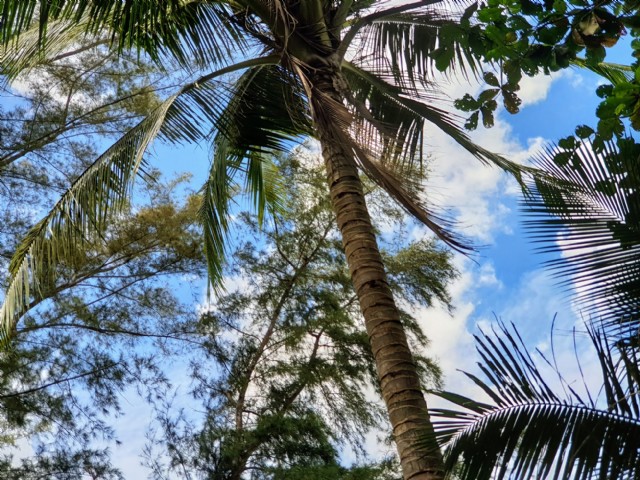 Y// Lying On My Back