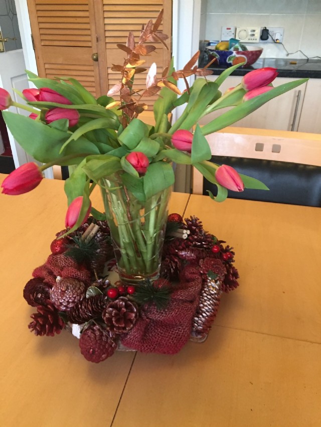 Pink Tulips: (December 15th,2020)