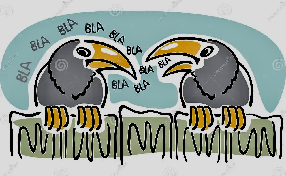 Little Magpies