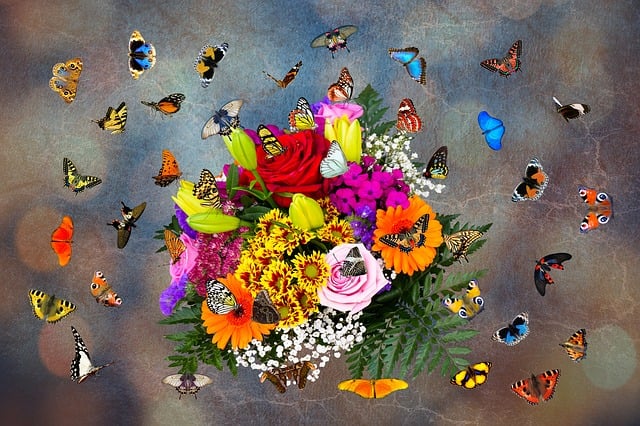 Butterfly Craze