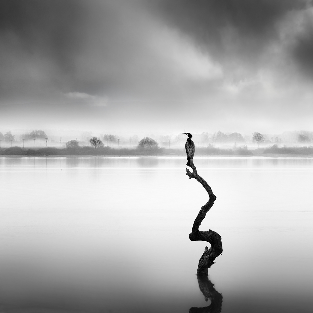 The Silence Singing