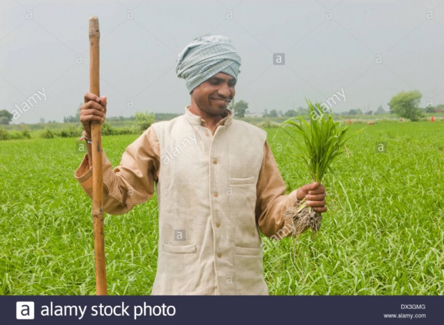किसान... Kisaan
