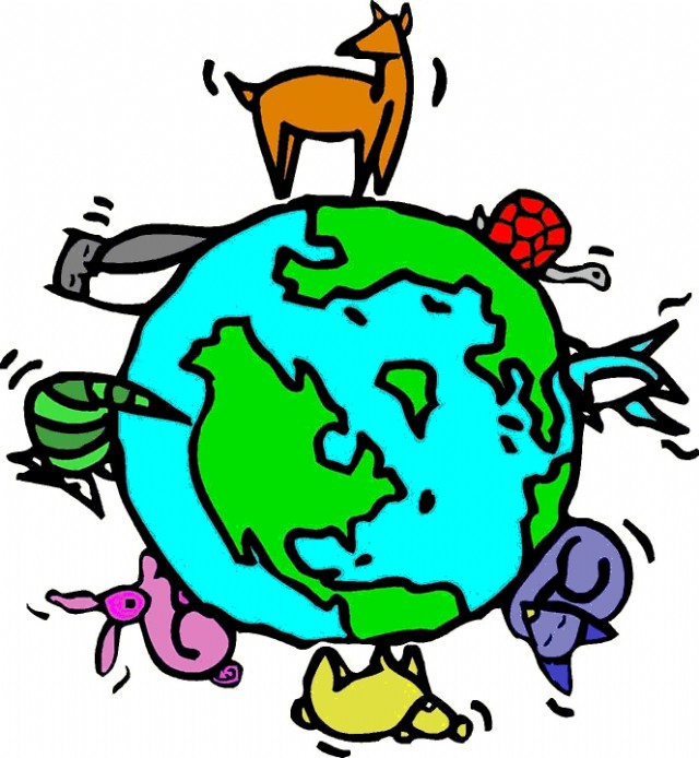 Violent Meat Eaters, Violent World