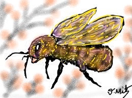 Honey Bee