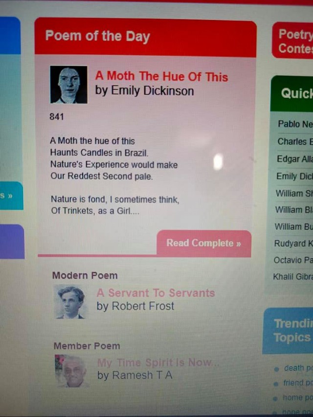 When Will Illusion Of One's Life Become A Reality In The World?