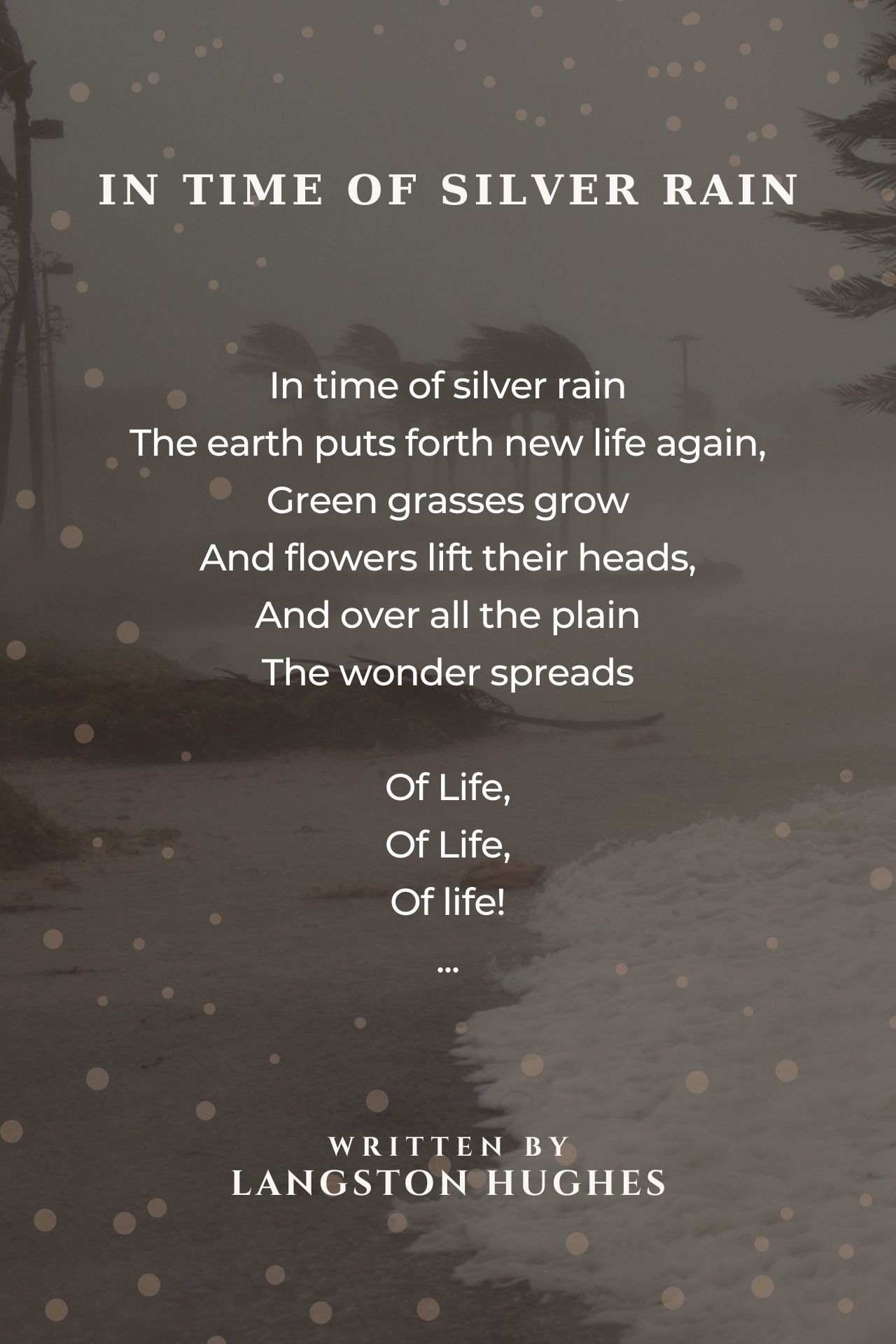 In Time Of Silver Rain