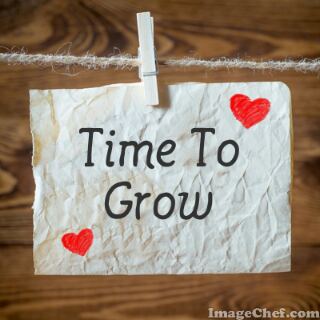 Time To Grow