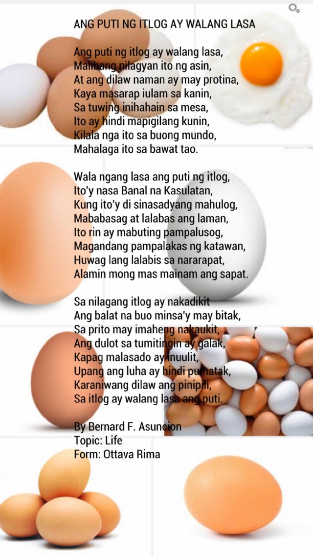 Ang Puti Ng Itlog Ay Walang Lasa