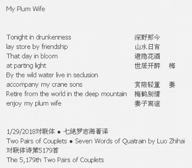 My Plum Wife