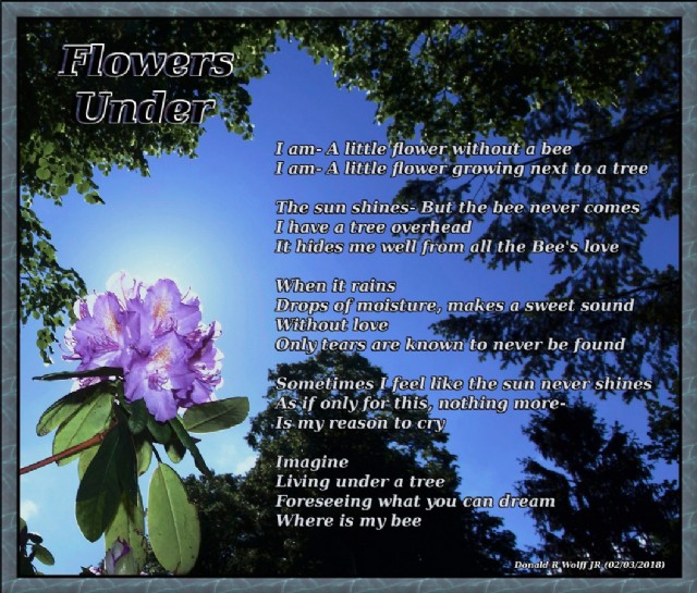 I Am A Little Flower Poem Best Flower Site
