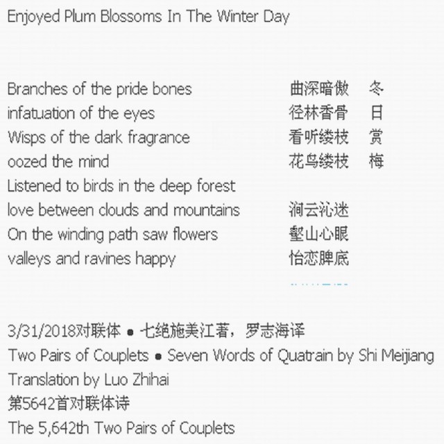 Enjoyed Plum Blossoms In The Winter Day