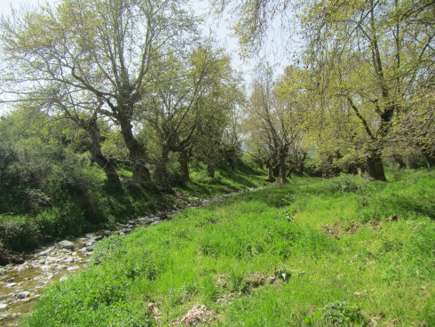 [τεχνική Για Ομαλό Ξύπνημα]