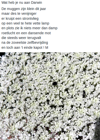 Wat Heb Je Nu Aan Darwin