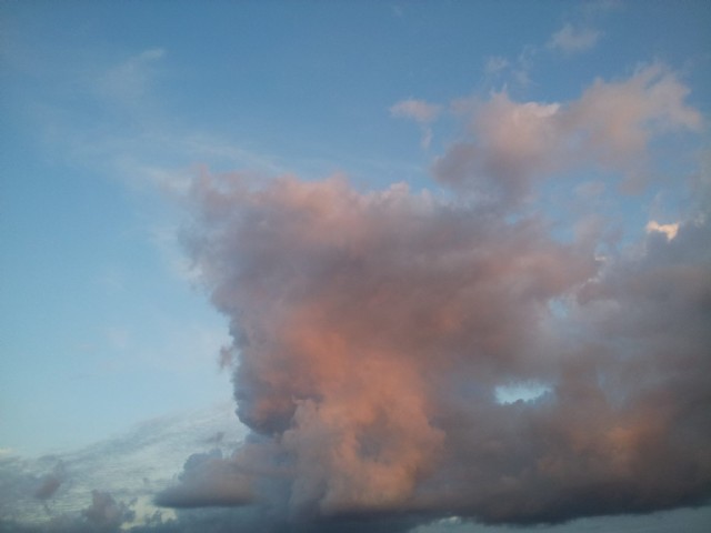 Murim...Ca Maine / We Die...Someday