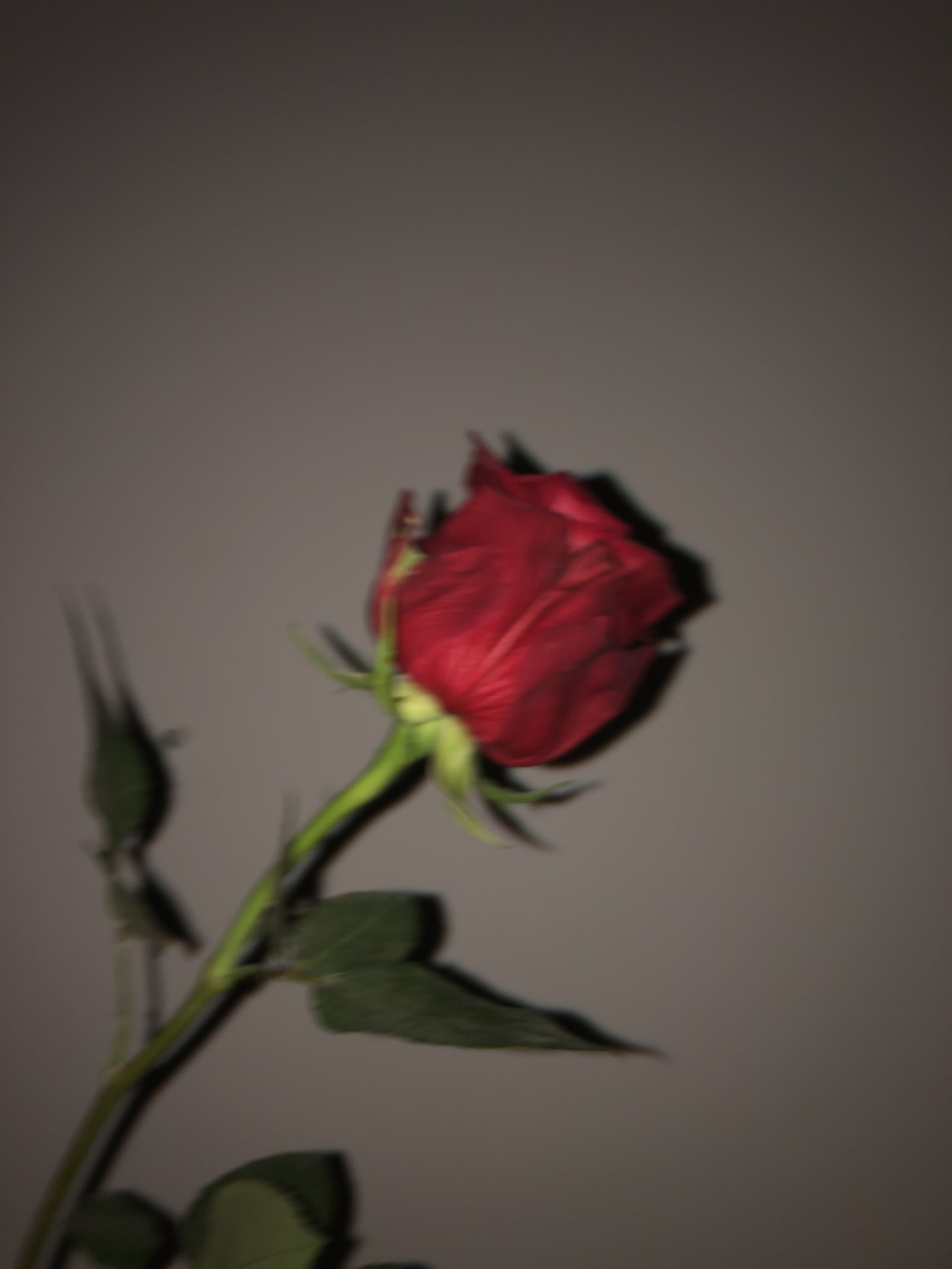 Sweet Blood