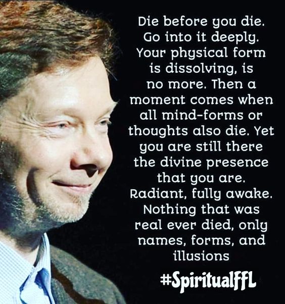 More Than All That Is Material