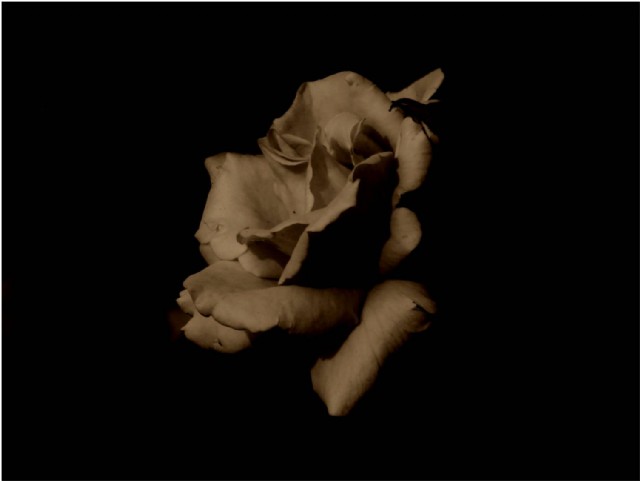 Negative Or Preventive