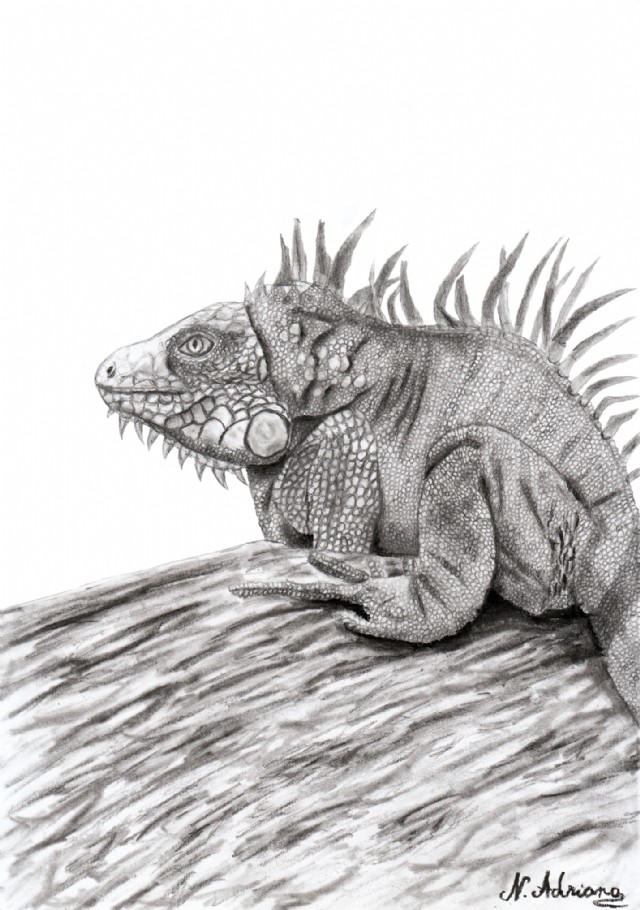 Prof.Dr.Cornelia Păun Heinzel: Cotylosauria Din Livadă