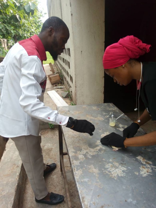 A Bird Quit Not To Fly