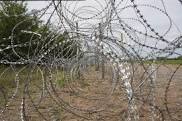 Barbed Wires