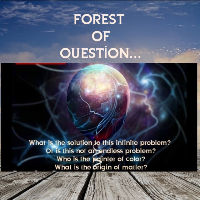 Forest Of Question