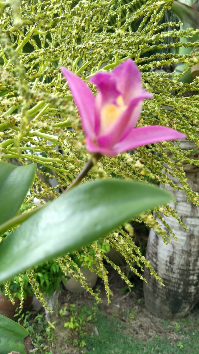 It Is About Selfcontrol.