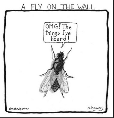 A Fly On The Wall