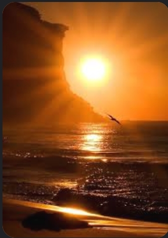 Shimmering Sunshine