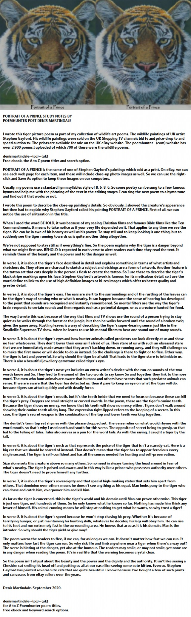 Google's Notebooklm Audio Demo!