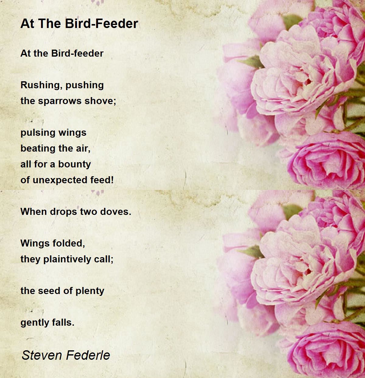 At The BirdFeeder At The BirdFeeder Poem by Steven Federle