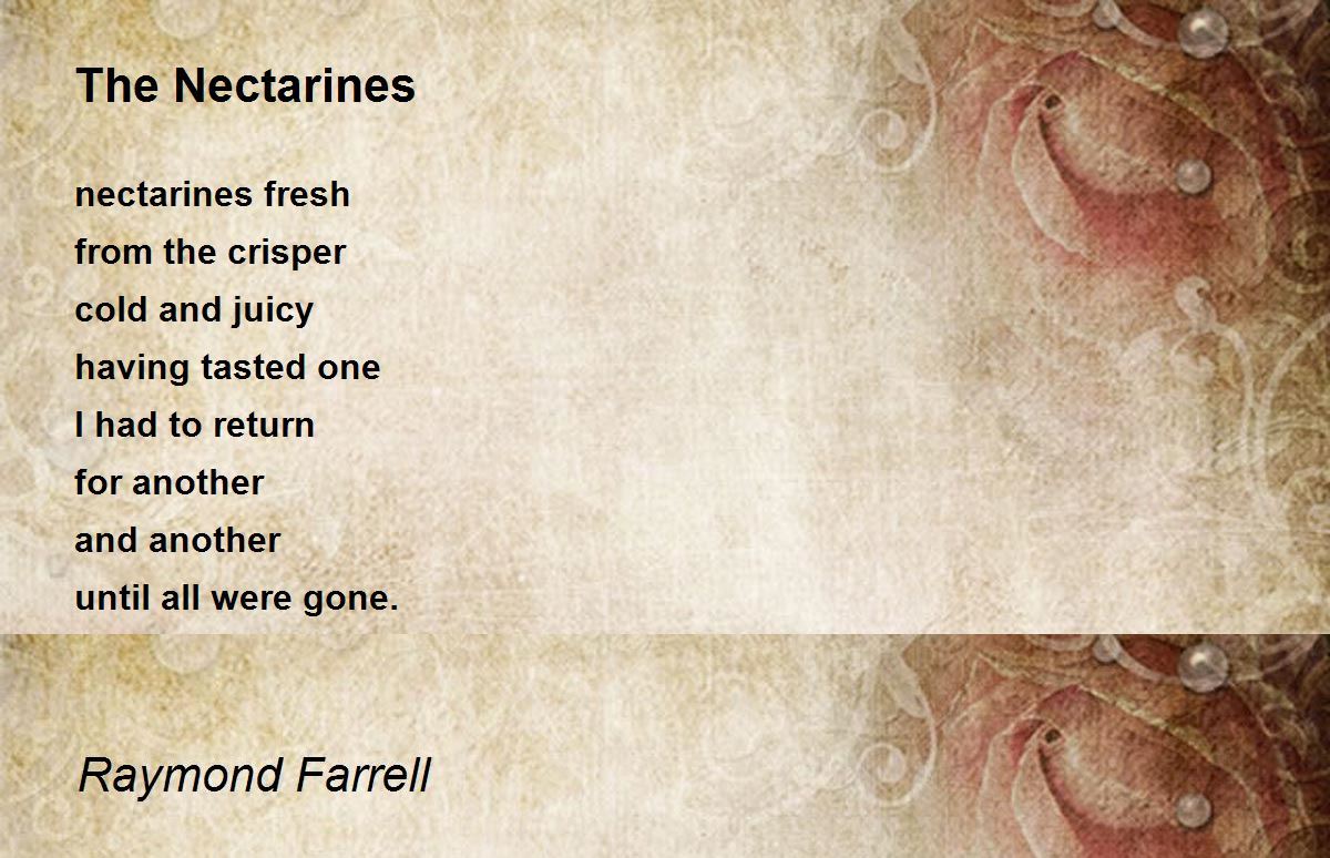 The Nectarines The Nectarines Poem by Raymond Farrell