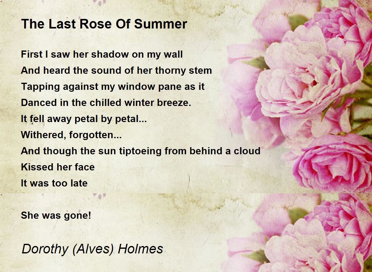 The Last Rose Of Summer The Last Rose Of Summer Poem by Dorothy