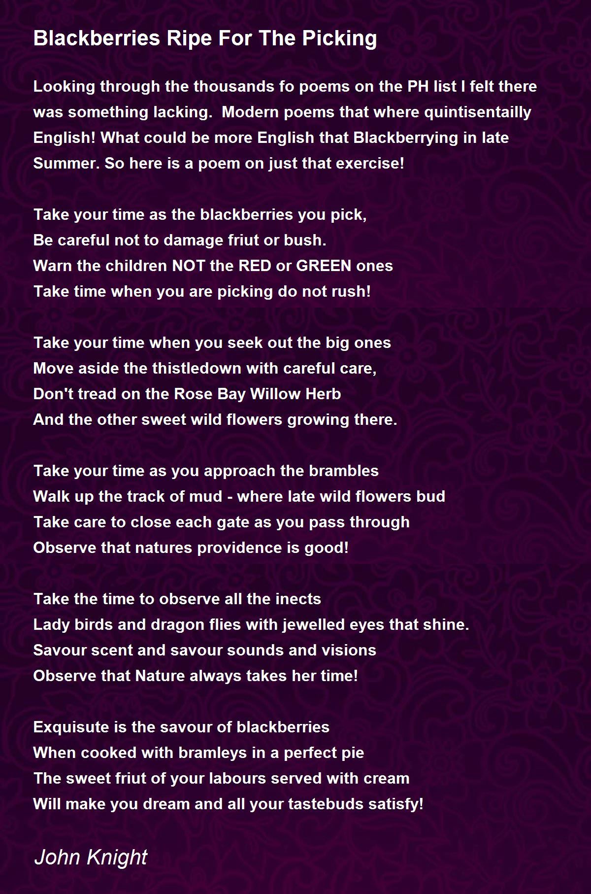 Blackberries Ripe For The Picking Blackberries Ripe For The Picking